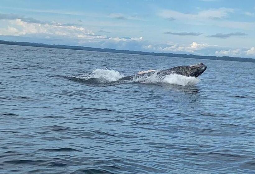 מלון כמוסות Eco Hospedaje Ata Ladrilleros