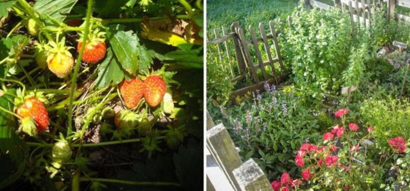 בית מלון כפרי Gmosnhof Mölten