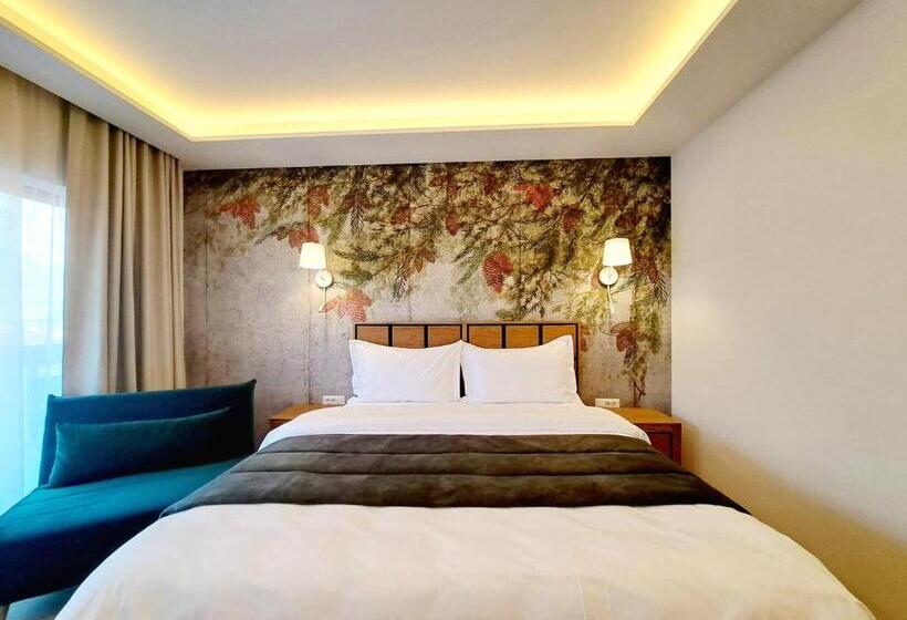 בית מלון כפרי Pensiunea Leonida Resort Leonida