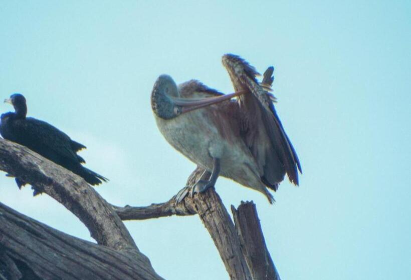ホテル Sasanda Villa And Yala Safari Place