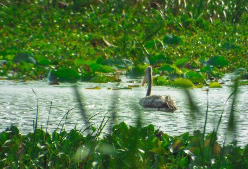 ホテル Sasanda Villa And Yala Safari Place