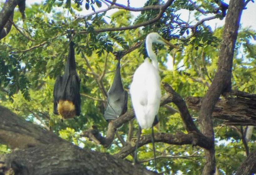 ホテル Sasanda Villa And Yala Safari Place