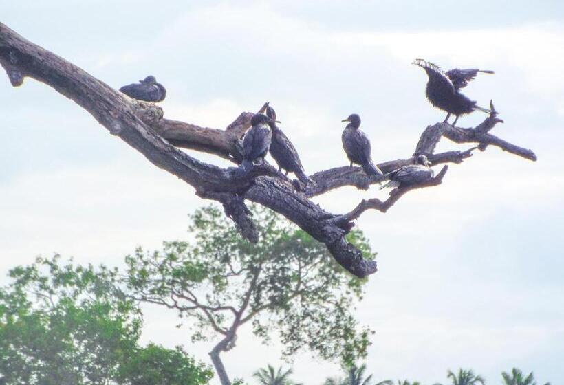 ホテル Sasanda Villa And Yala Safari Place