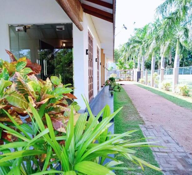 בית מלון כפרי Starlight