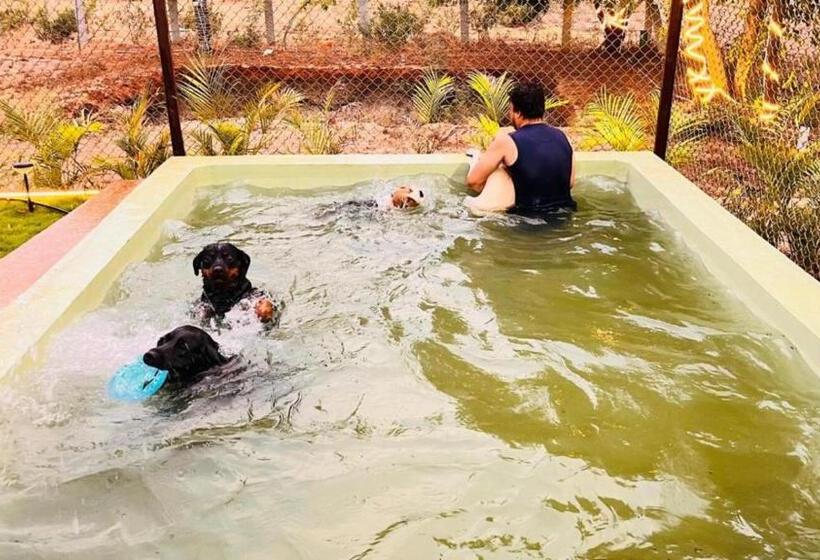 Hotel The Cozy Corner