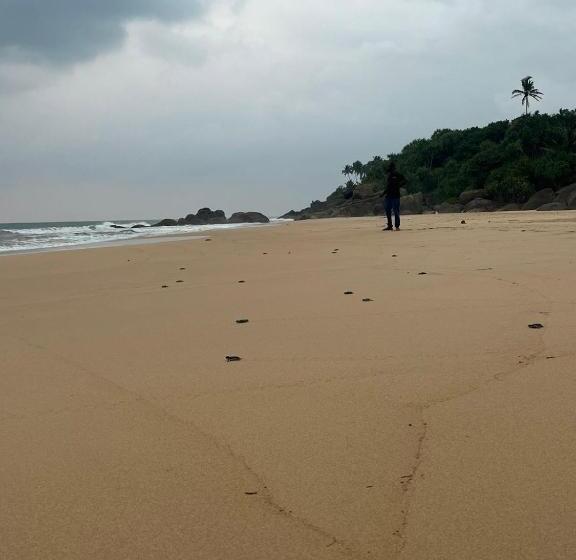 호텔 Turtle Paradise Resort