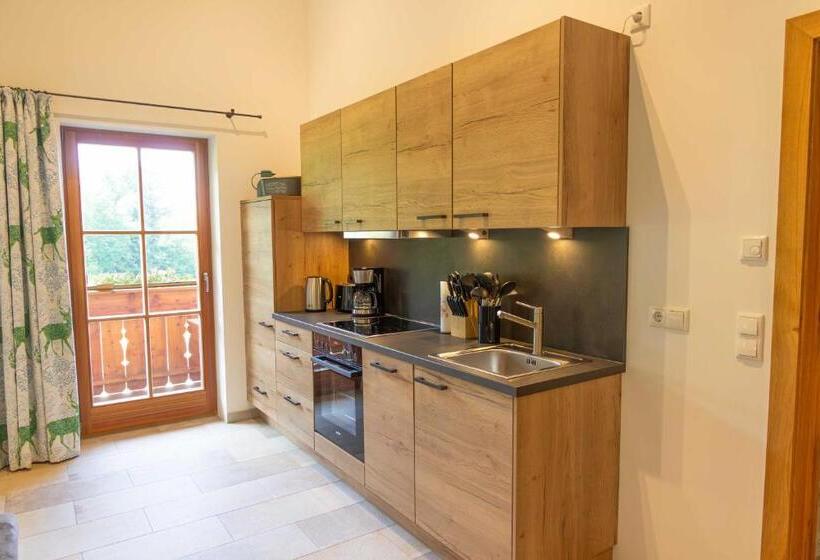 Отель Wieserhof