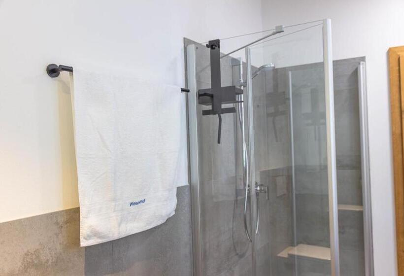 Отель Wieserhof