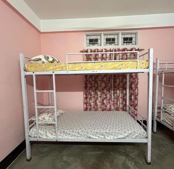 International Backpackers Hostel Guwahati