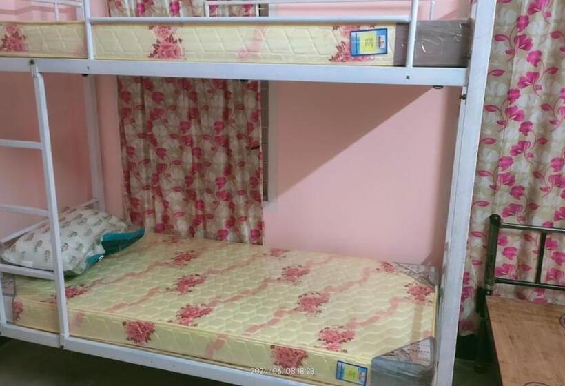 International Backpackers Hostel Guwahati