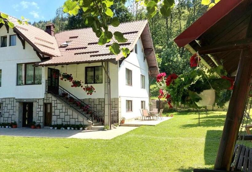 Пансион Casa Adi