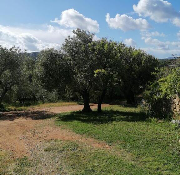 פנסיון Casa Orecchioni