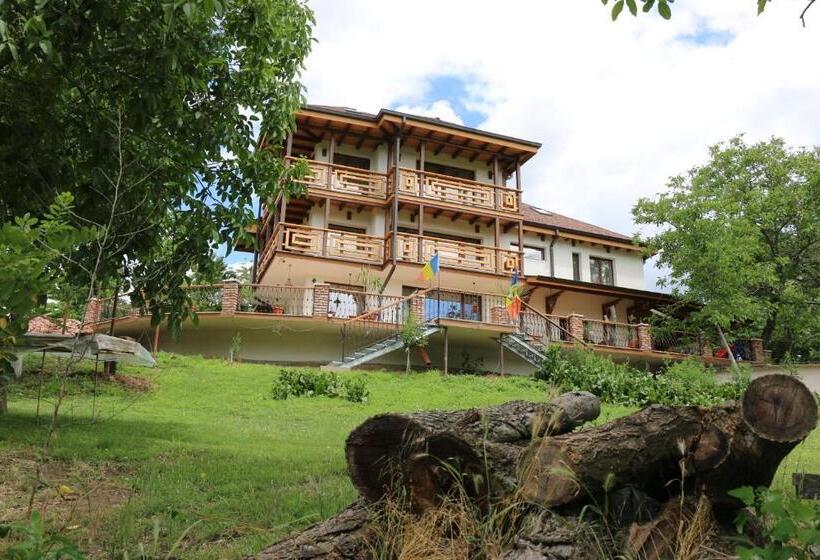 ペンション Domeniul Mortasifu