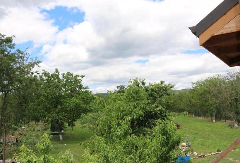 ペンション Domeniul Mortasifu