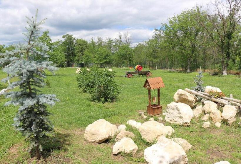 ペンション Domeniul Mortasifu