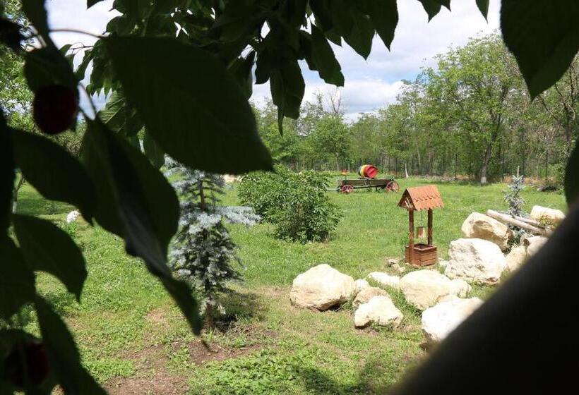 ペンション Domeniul Mortasifu