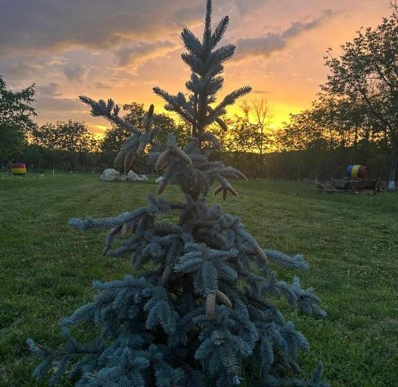 ペンション Domeniul Mortasifu