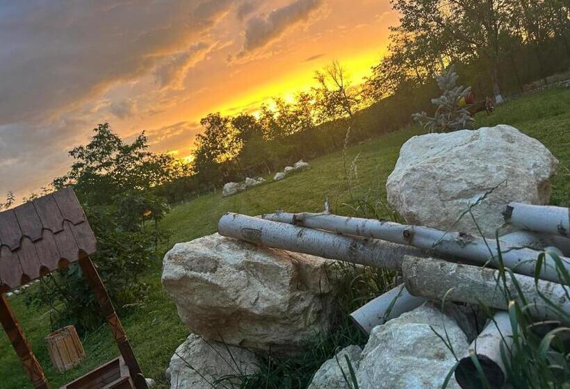 ペンション Domeniul Mortasifu