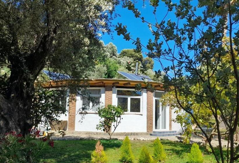 Пансион Estudio Escondido Orgiva