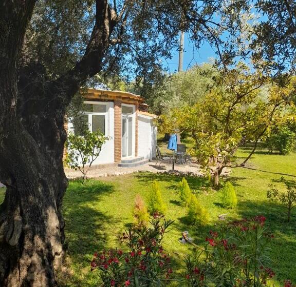 Пансион Estudio Escondido Orgiva