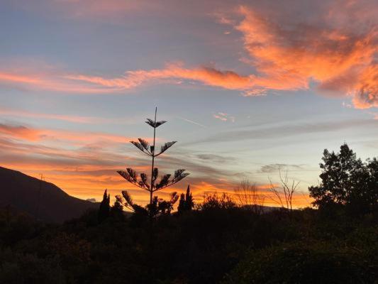 Пансион Estudio Escondido Orgiva