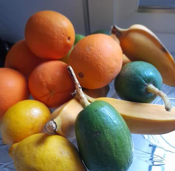 Пансион Estudio Escondido Orgiva