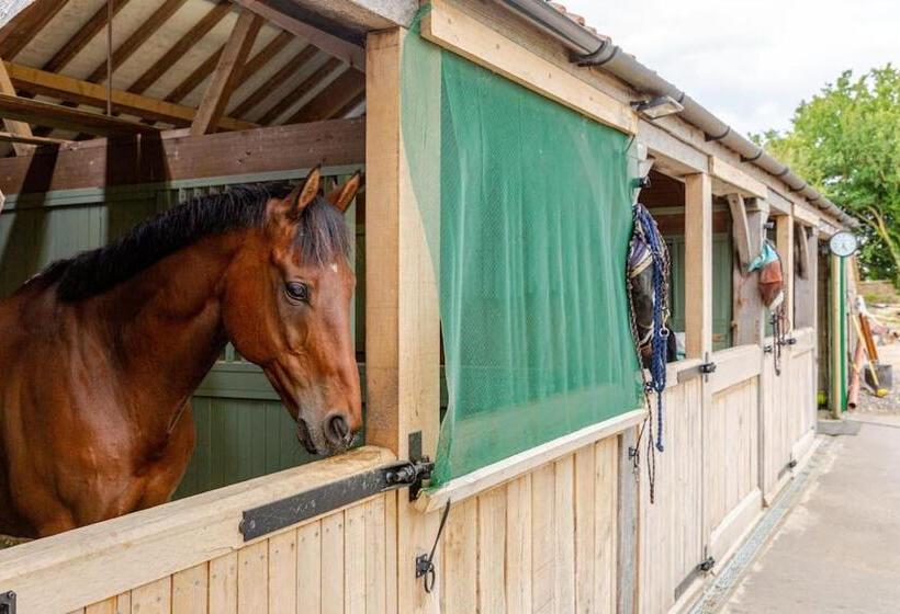 펜션 Furzen Farmhouse