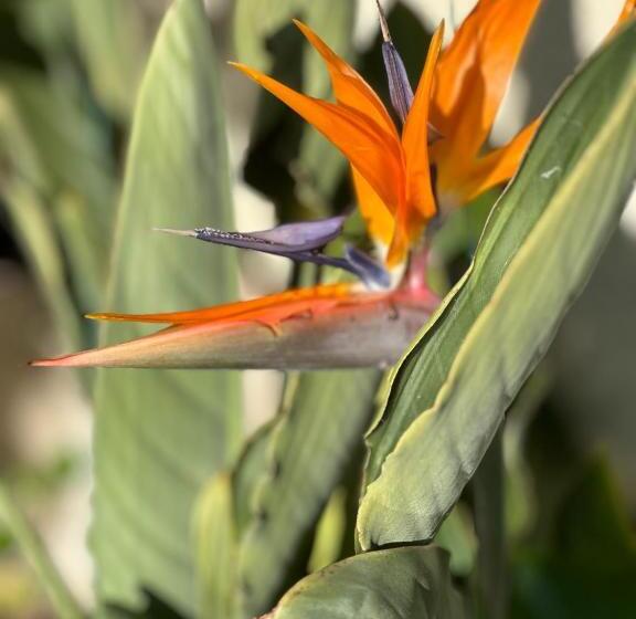 膳宿费 La Villa Des Oliviers