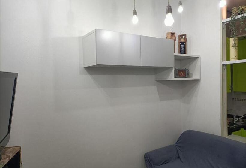 פנסיון Lame 196