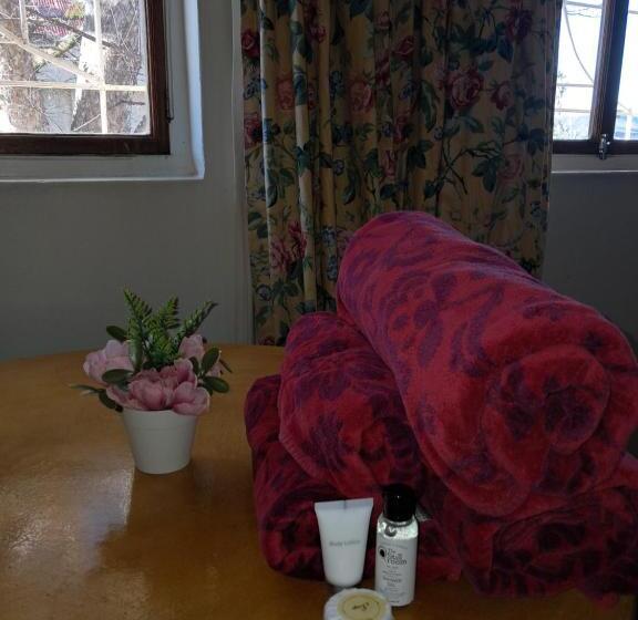 פנסיון Mossie S Nes