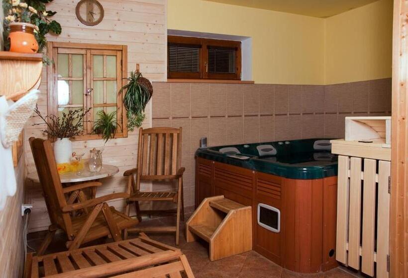 پانسیون Penzion U černého čápa