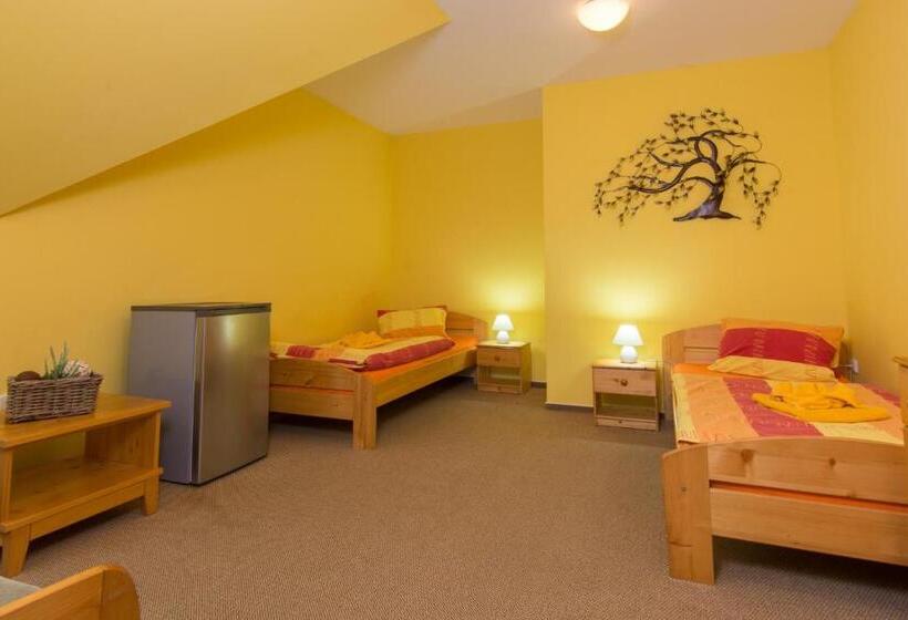 پانسیون Penzion U černého čápa