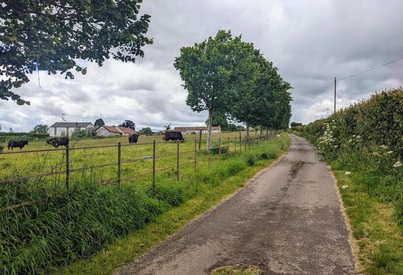 膳宿费 Regilbury Court, Grooms House