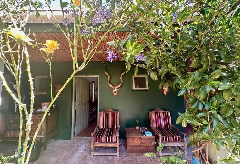 פנסיון Tradouw Guesthouse