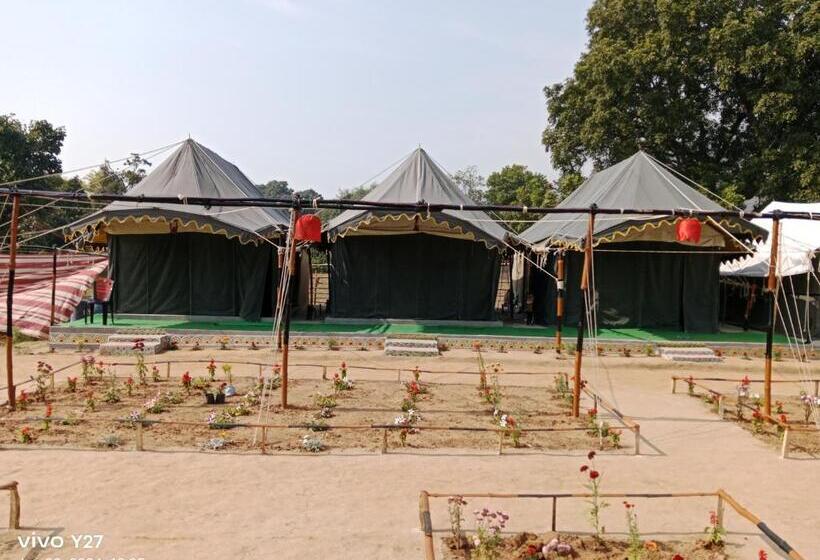 리조트 Baredi Eco Village