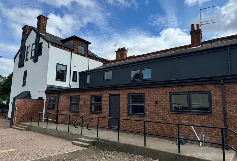 The Olive Tree Apart