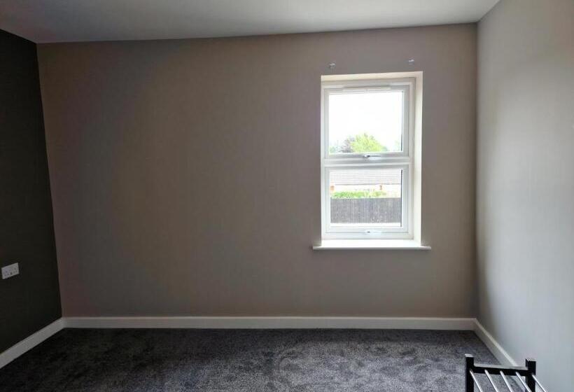 The Olive Tree Apart