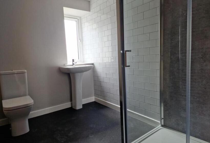 The Olive Tree Apart