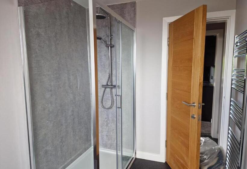 The Olive Tree Apart