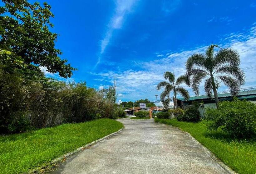 호스텔 Casanova Inn