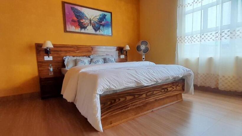 הוסטל Clouded Leo Inn