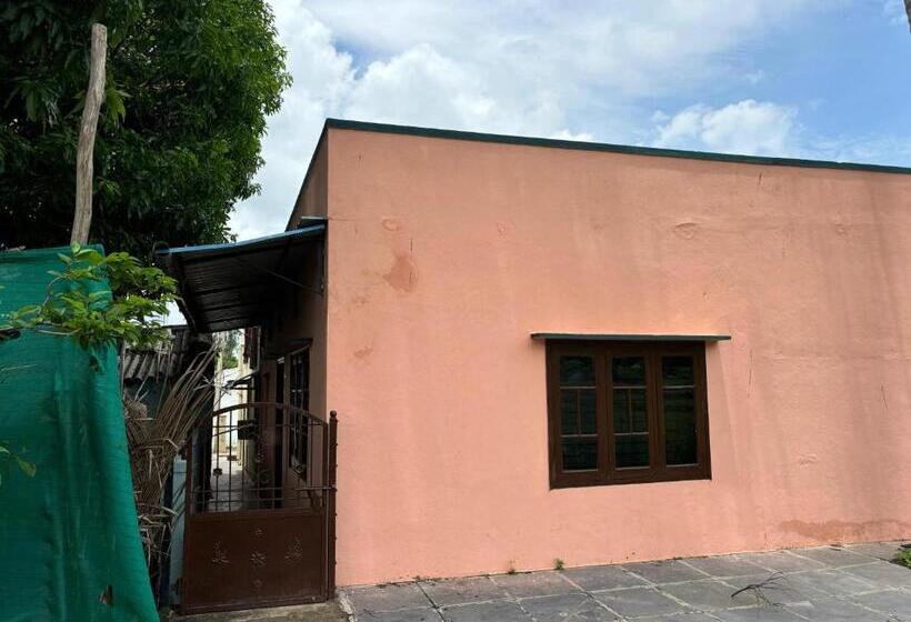 旅馆 Cocogreen Hampi