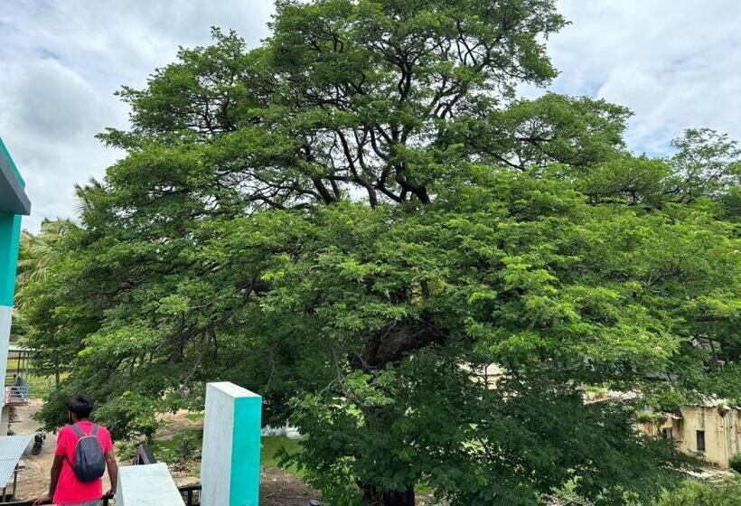 旅馆 Cocogreen Hampi