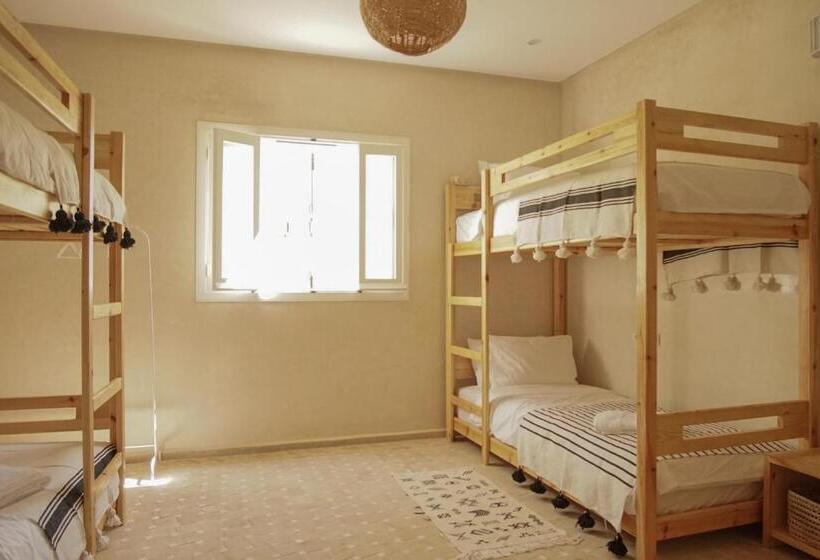 Общежитие The Line Up