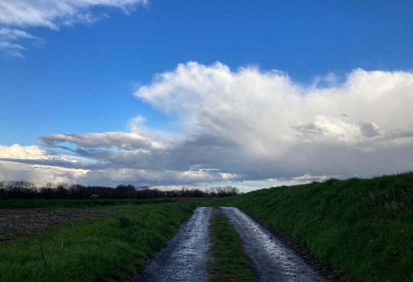 B&b Art Aviation 4épis