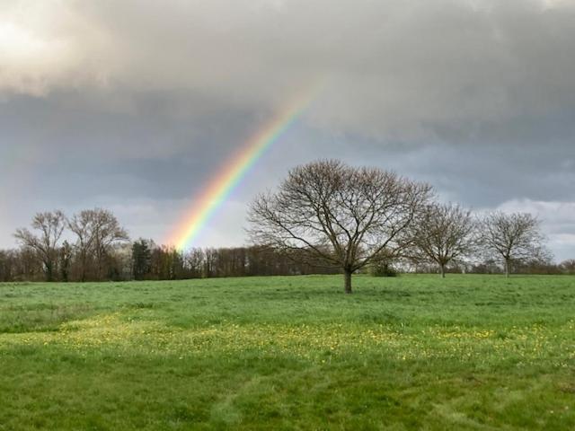 B&b Art Aviation 4épis