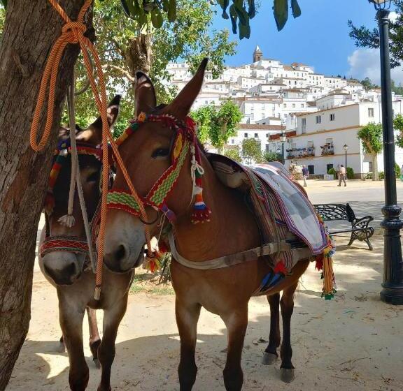 住宿加早餐  Casa Aljibe