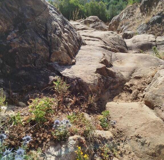 住宿加早餐  Casa Aljibe