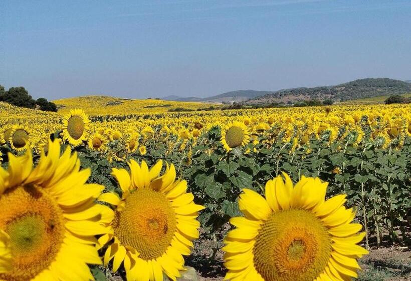 住宿加早餐  Casa Aljibe