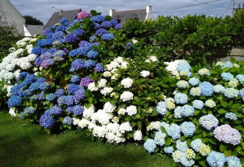 住宿加早餐  Chambre D Hôtes